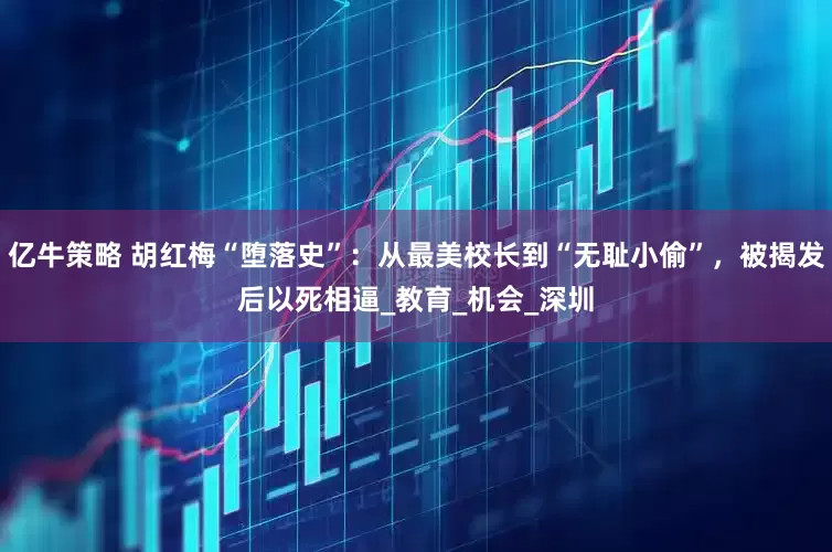 亿牛策略 胡红梅“堕落史”：从最美校长到“无耻小偷”，被揭发后以死相逼_教育_机会_深圳