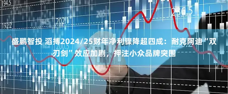 盛鹏智投 滔搏2024/25财年净利骤降超四成：耐克阿迪“双刃剑”效应加剧，押注小众品牌突围