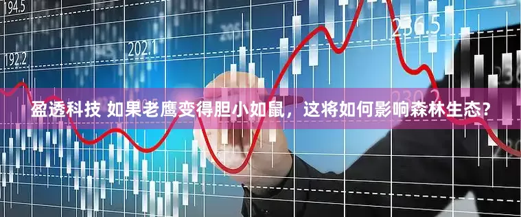 盈透科技 如果老鹰变得胆小如鼠，这将如何影响森林生态？