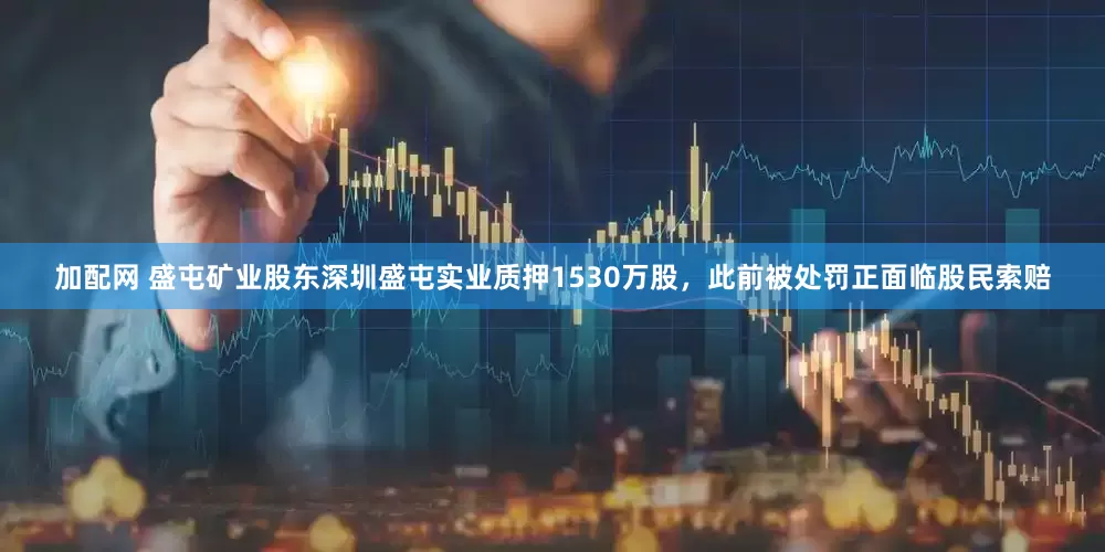 加配网 盛屯矿业股东深圳盛屯实业质押1530万股，此前被处罚正面临股民索赔
